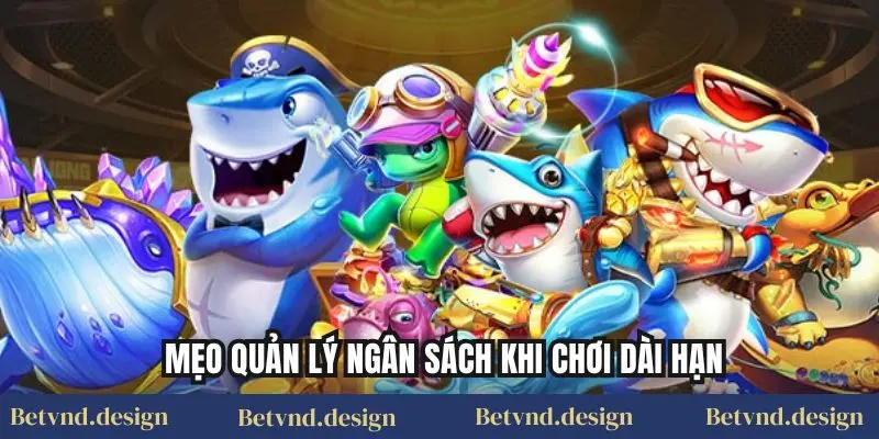 Mẹo quản lý ngân sách khi chơi dài hạn