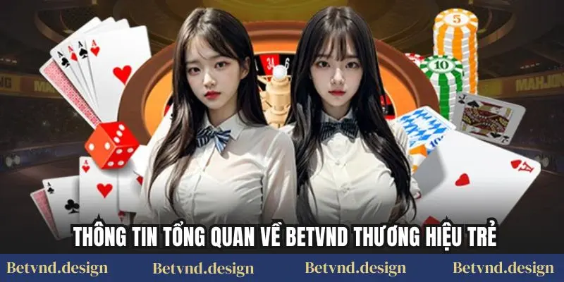 Thông tin tổng quan về betvnd thương hiệu trẻ