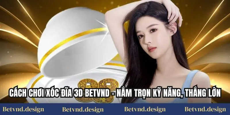 Cách Chơi Xóc Đĩa 3d Betvnd – Nắm Trọn Kỹ Năng, Thắng Lớn