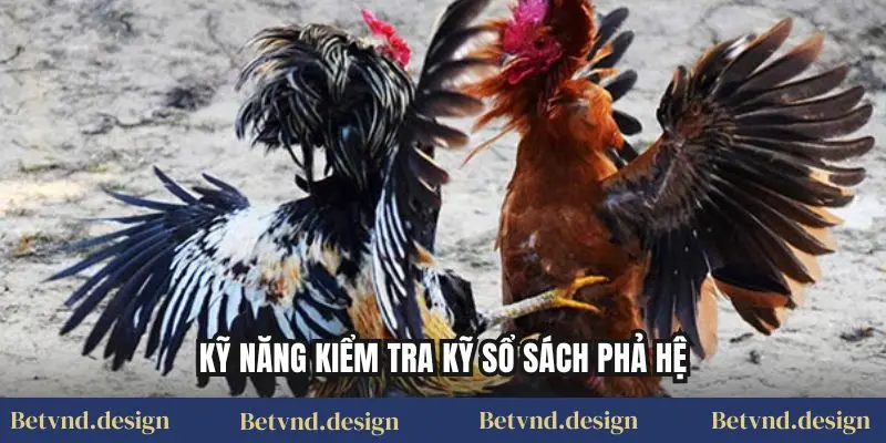 Kỹ năng kiểm tra kỹ sổ sách phả hệ
