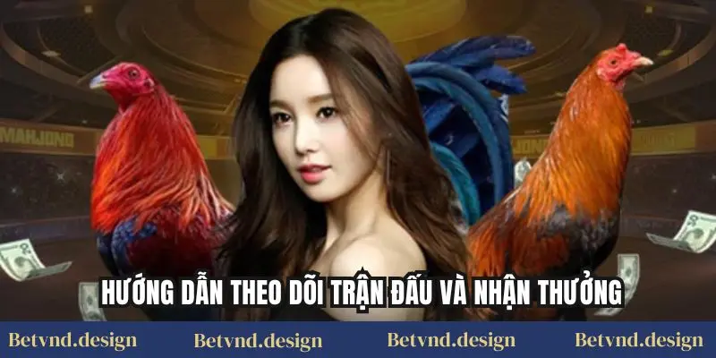 Hướng dẫn theo dõi trận đấu và nhận thưởng