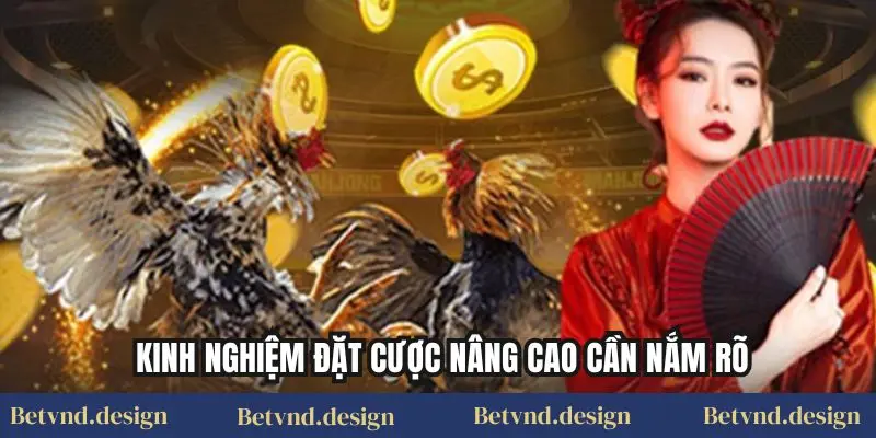 Kinh nghiệm đặt cược nâng cao cần nắm rõ