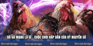 Đá Gà Mạng Là Gì – Cuộc Chơi Hấp Dẫn Của Kỷ Nguyên Số