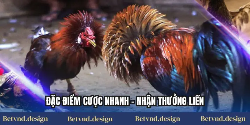 Đặc Điểm Cược Nhanh – Nhận Thưởng Liền