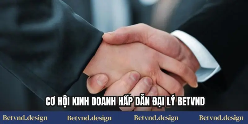 Cơ hội kinh doanh hấp dẫn Đại lý Betvnd
